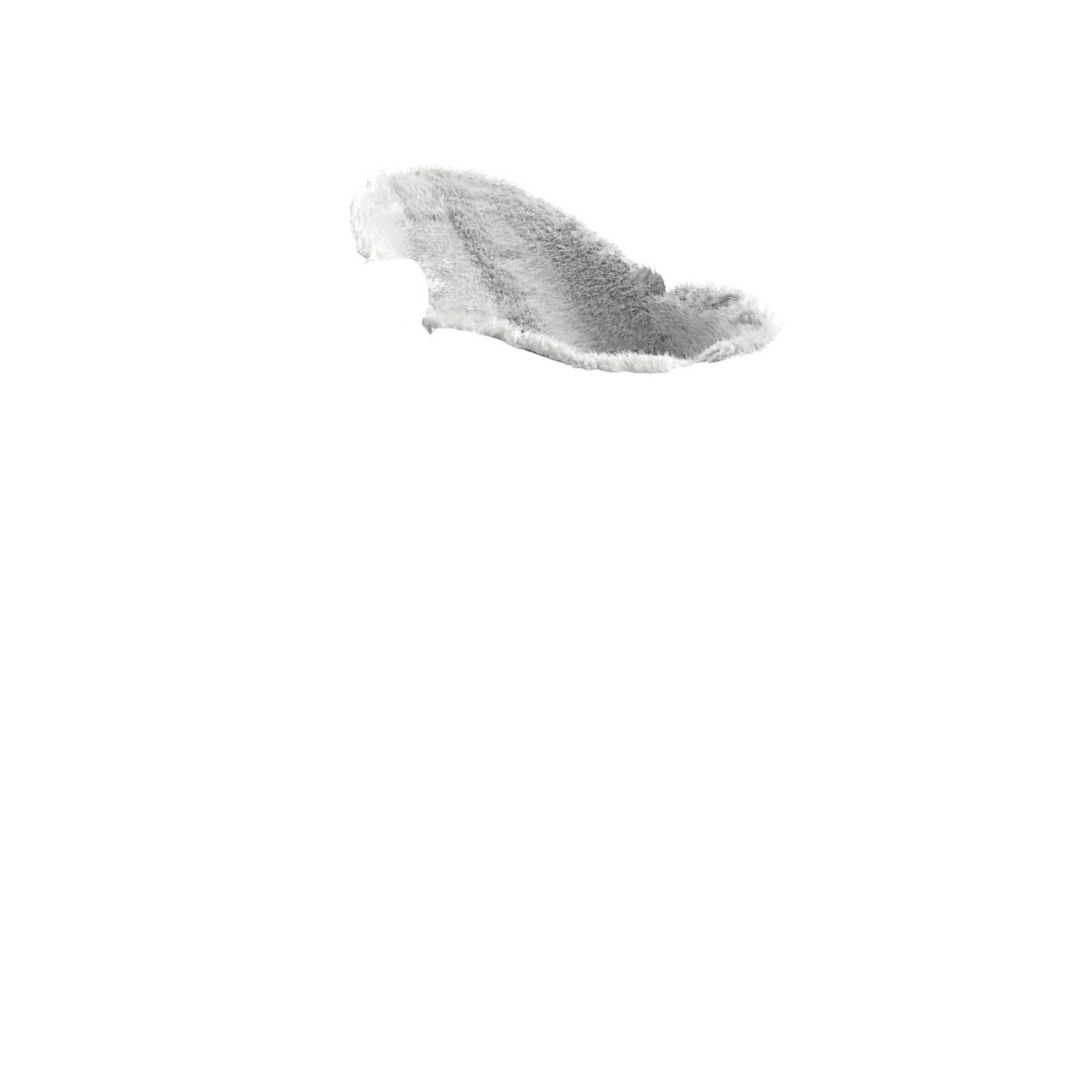 grey | variant=grey, view=newborn