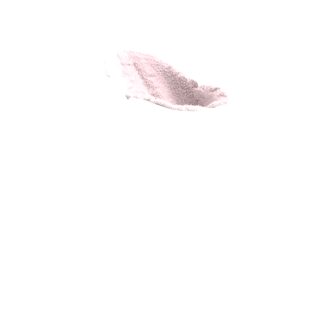 blush | variant=blush, view=newborn